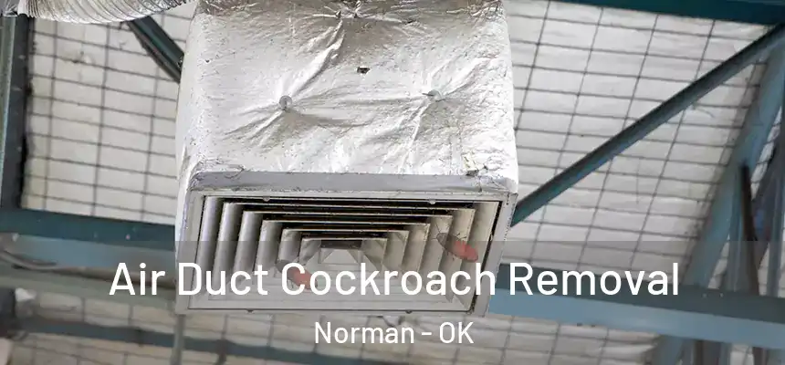  Air Duct Cockroach Removal Norman - OK