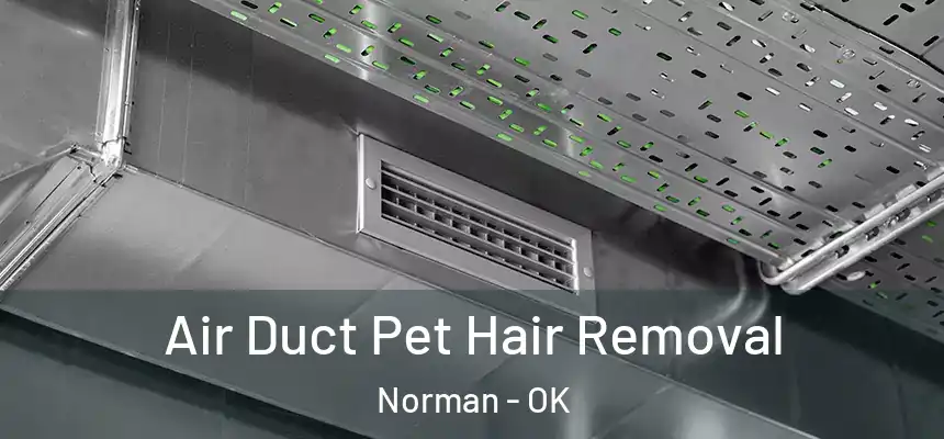 Air Duct Pet Hair Removal Norman - OK