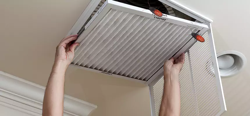 Preventive Cockroach-Proofing for Ducts in Norman
