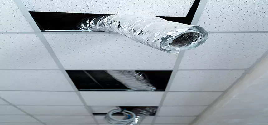 Our Air Duct Pet Hair Removal Services in Norman, OK