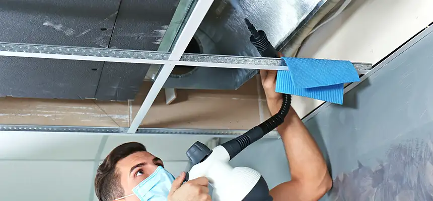 Our Air Duct Rodent Removal Services in Norman, OK