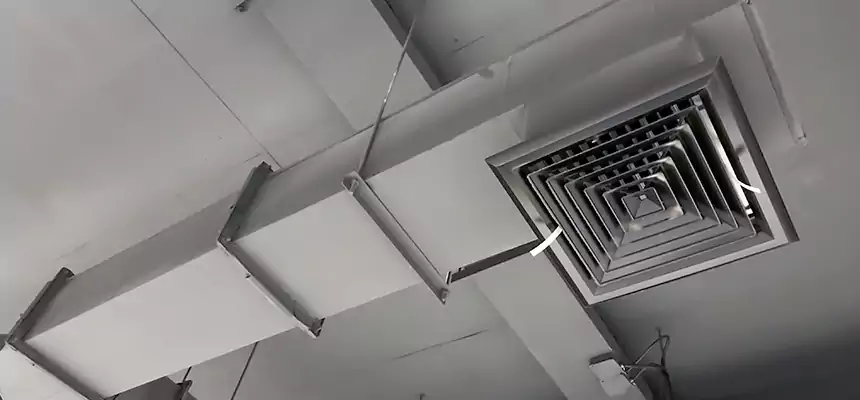 Our Rodent Droppings In Vents Services in Norman, OK