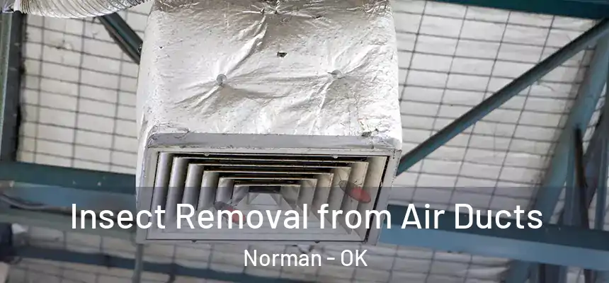  Insect Removal from Air Ducts Norman - OK