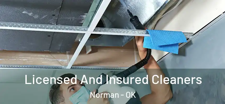  Licensed And Insured Cleaners Norman - OK