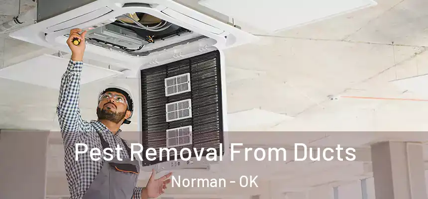  Pest Removal From Ducts Norman - OK