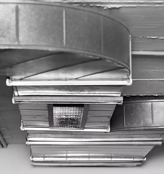 Professional Air Duct Pet Hair Removal in Norman, OK