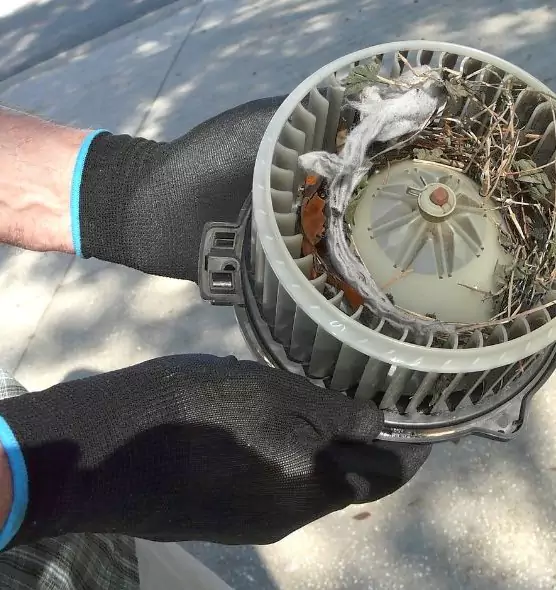 About Air Duct Rat Removal in Norman, OK